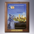 Certificate Frame / Overlay Plaque Kit with Plate & Choice of Finish